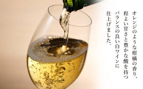 【北海道ワイン】 葡萄作りの匠 北島秀樹ケルナー 2020（甘口） 【余市のワイン】 国産ワイン 北海道産ワイン 余市町産ワイン 白ワイン 甘口のワイン GI北海道認定ワイン 匠 お酒 750ml_Y