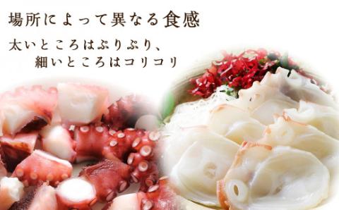 北海道産 やわらか煮 たこ足 （ 約600g ） ＜ 菊地水産 ＞ タコ 蛸 海鮮 海産 海鮮食品 お刺身 唐揚げ たこ飯 たこ焼き アヒージョ カルパッチョ しゃぶしゃぶ 明石焼き ギフト 父の日 母の日 お中元 お歳暮 お取り寄せ 北海道 余市町