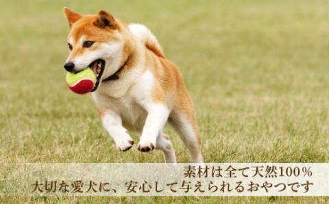 愛犬用★無添加おやつ★贅沢！鹿肉セット（各2パック）計420g≪REAL DOG FOOD≫_Y020-0572