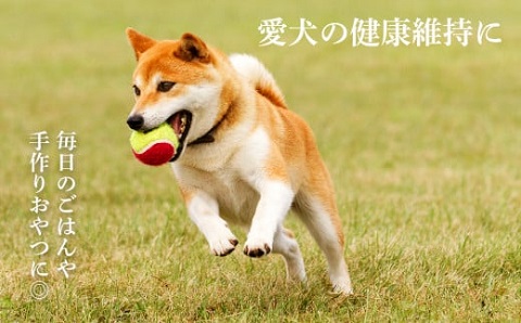 ペット用 エゾ鹿挽き肉 200ｇ×52袋≪REAL DOG FOOD≫