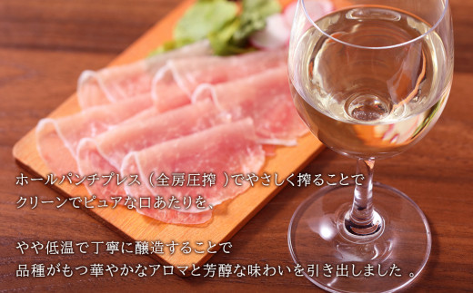 【北海道ワイン】 田崎ヴィンヤード ピノ・ノワール ブラン・ド・ノワール 2021 【余市のワイン】 限定醸造 国産ワイン 北海道産ワイン 余市町産ワイン 白ワイン 辛口 GI北海道認定ワイン お酒 750ml _Y020-0698