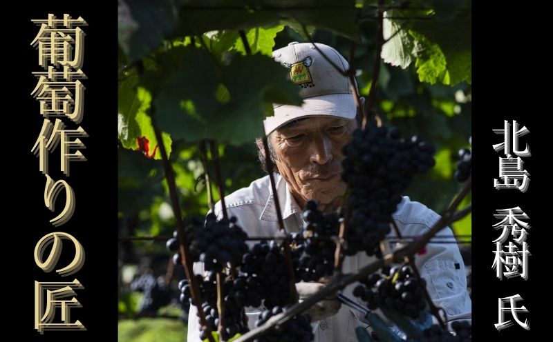 余市「葡萄作りの匠」ワイン 3本 セット 赤ワイン 白ワイン 辛口 ミディアム 田崎正伸 北島秀樹  宍戸富二  アルコール ギフト プレゼント 誕生日 手土産 父の日 敬老の日 家飲み 家族 国産お取り寄せ 北海道 余市町_Y034-0090