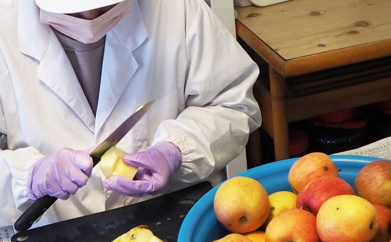 【余市産】すこやか自然農園「ドライフルーツりんご」10g×2Pセット_Y034-0108