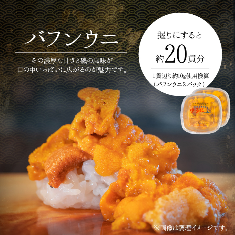 【2026年夏発送】塩水ウニ【バフンウニ＆ムラサキウニ】各100g×2パック 北海道余市町産 塩水ウニ発祥の地 高級ウニ 高級雲丹 ムラサキウニ 白ウニ バフンウニ 赤うに 目利き 北海道産ウニ 余市産ウニ 雲丹 うに 塩水うに _Y037-0343