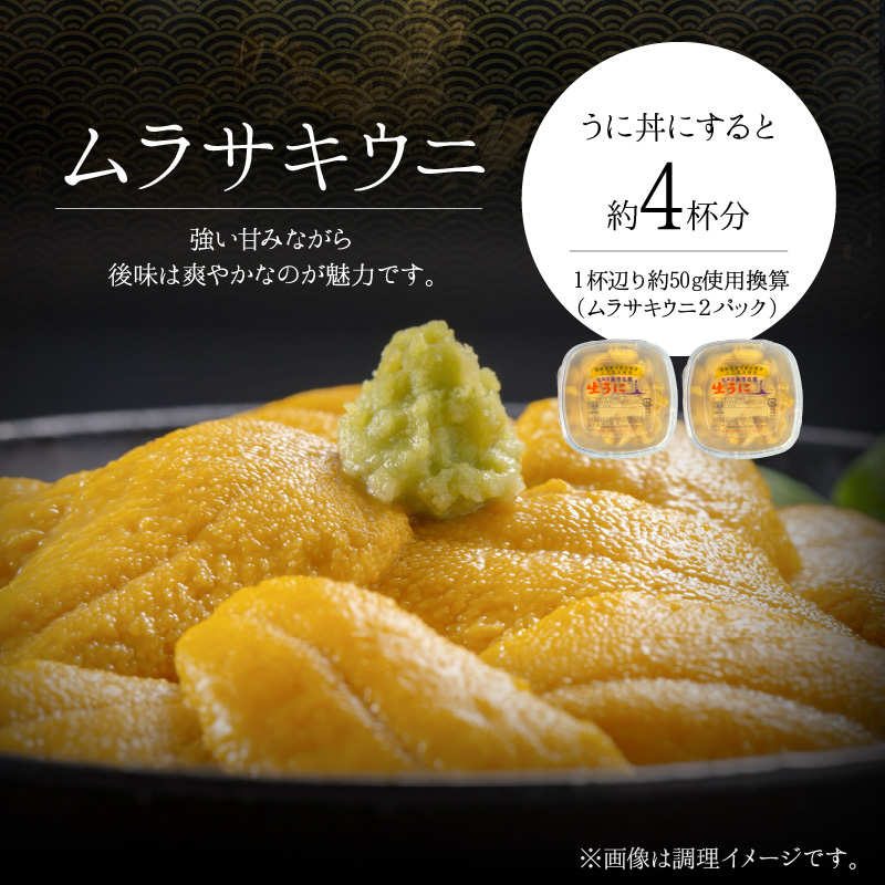【2026年夏発送】塩水ウニ【ムラサキウニ】 100g×2パック 計200g 北海道余市町産塩水ウニ発祥の地 高級ウニ 高級雲丹 ムラサキウニ 白うに 目利き 北海道産ウニ 余市産ウニ 雲丹 うに 塩水うに_Y037-0344