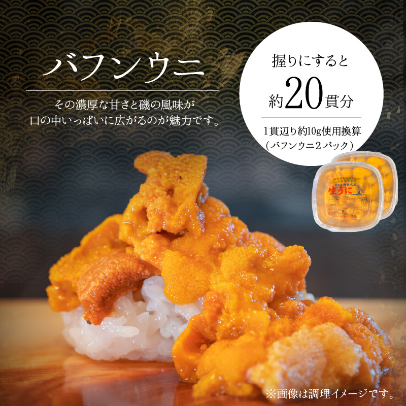 【2026年夏発送】塩水ウニ【バフンウニ】 100g×2パック 計200g 北海道余市町産 塩水ウニ発祥の地 高級ウニ 高級雲丹 バフンウニ 赤うに 目利き 北海道産ウニ 余市産ウニ 雲丹 うに 塩水うに_Y037-0345