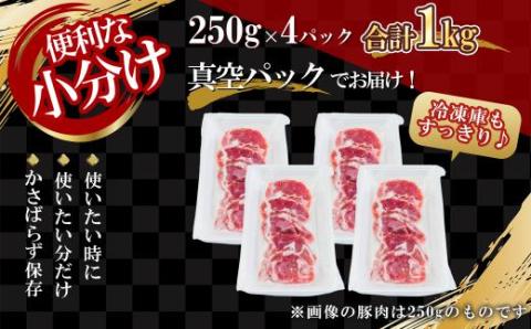 【農場直送】真空パック　北海道産　北島ワインポーク　ヒレカツ用肉 1kg 【小分け】