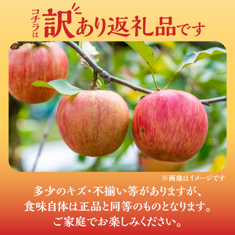 【2025年11月下旬より発送】フルーツ王国余市産訳あり「ふじ」5kg【ニトリ観光果樹園】_Y074-0154