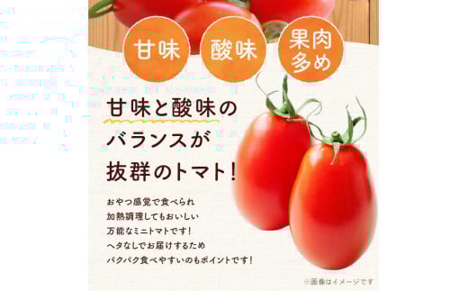 【先行予約：2026年7月下旬頃より発送】NicoFarm Nicoロッソ（ミニトマト）3Kg_Y124-0016