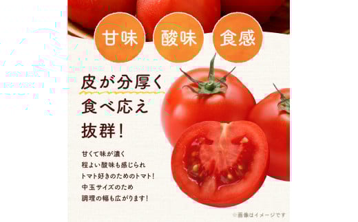 【先行予約：2026年7月下旬頃より発送】NicoFarm ファンゴッホ（中玉トマト）1Kg_Y124-0017