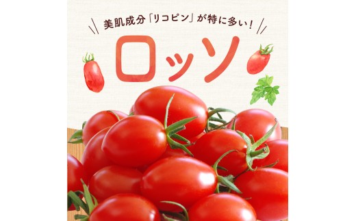 【先行予約2026年7月】樹上完熟！トマト3種食べ比べ 各1kg ミニ・中玉セット トマトベリー・Nicoロッソ・ファンゴッホ_Y124-0024