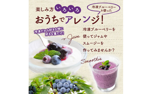 甘い! ジューシー! 余市町産冷凍ブルーベリー 250g×4パック 北海道産ブルーベリー 余市産ブルーベリー  ブルーベリー 1kg フルーツ 冷凍フルーツ 果物_Y010-0344