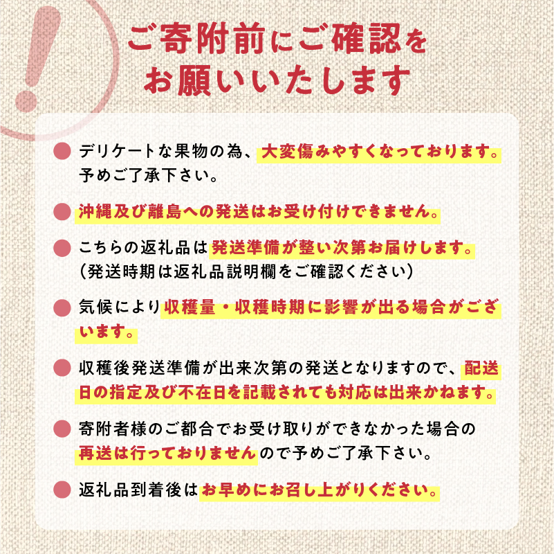 【2026年9月上旬発送分先行予約】プルーン 400g×4パック甘くてジューシー 余市産 生プルーン 国産 老化防止 鉄分 スムージー ジャム 冷蔵 小分け パック フルーツ 果物 季節限定 お取り寄せ 北海道 余市町 _Y010-0526