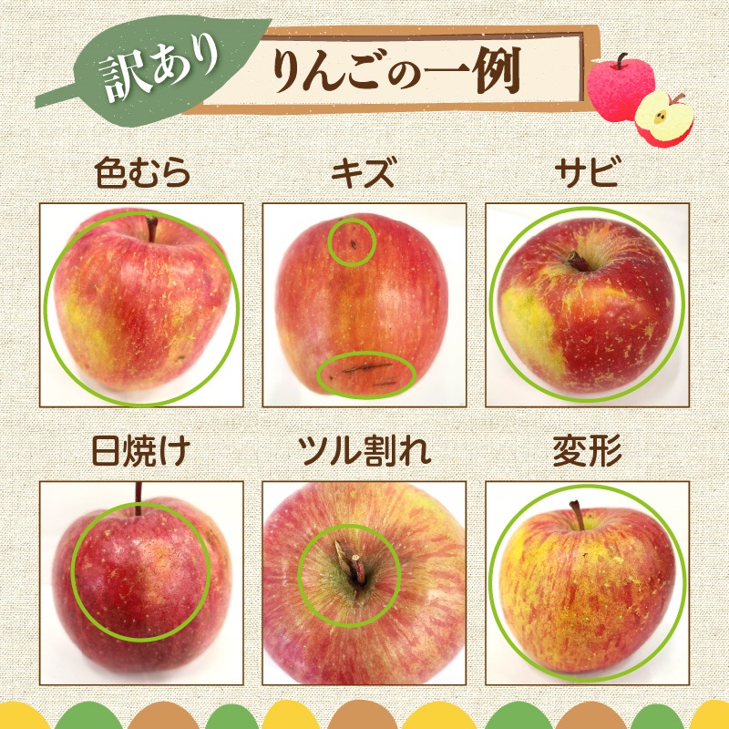 【先行受付：2026年10月中旬以降発送分】訳あり りんご（昂林） 3kg_Y010-0662