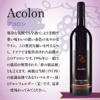 OcciGabi Winery】アコロン 【余市のワイン】 ワイン 赤ワイン アコロンワイン 人気ワイン 余市のワイン 北海道のワイン 日本のワイン  国産ワイン お酒 _Y012-0102: 余市町ANAのふるさと納税