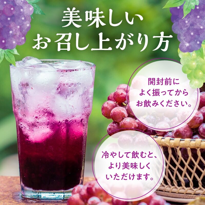 風味豊かな余市産ぶどう100％ジュース500ｍｌ×12本セット_Y018-0062