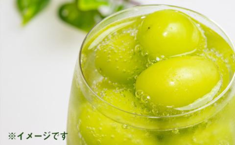 寶CRAFT 余市産 ナイアガラ 12本 北海道限定クラフト 宝酒造 地域限定 樽貯蔵熟成焼酎 お酒 焼酎 酎ハイ チューハイ クラフトチューハイ 瓶チューハイ 果汁 ストレート ぶどう 葡萄 父の日 誕生日 お祝い ギフト プレゼント 北海道 余市町