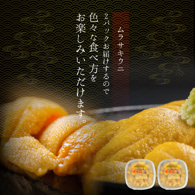 【2026年夏！新岡商店より発送】塩水ムラサキウニ（200g）【銀座の高級寿司店御用達】 塩水ウニ発祥の地 高級ウニ 高級雲丹 高級うに ムラサキウニ 白うに 白ウニ 目利き 北海道産ウニ 余市産ウニ _Y037-0339
