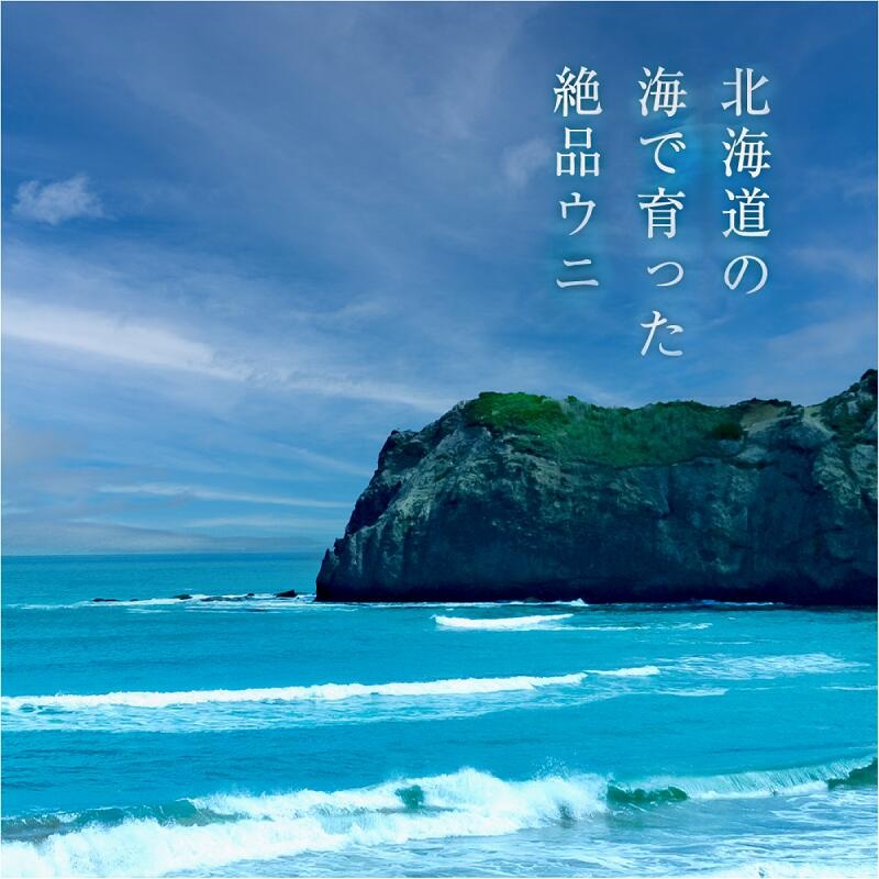 【先行受付】北海道産　世壱屋塩水ウニ（ムラサキウニ）300g_Y038-0144