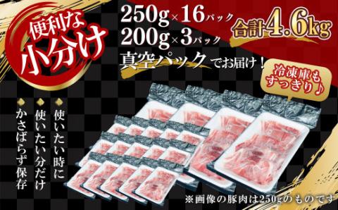 【農場直送】真空パック　北海道産　北島ワインポーク　切り落とし　4.6kg【小分け】_Y067-0032