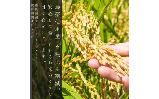 【定期便全6回】【順次発送中】◇令和6年産◇木露ファーム 余市産 ゆめぴりか（精米） 10kg（5kg×2袋）_Y067-0186