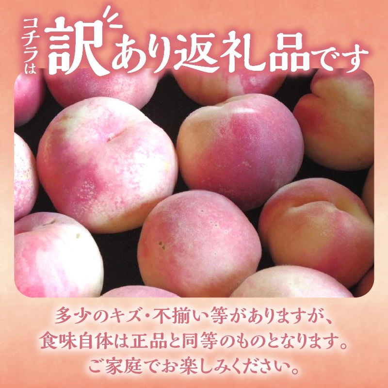 【先行予約：2026年8月中旬以降発送】フルーツ王国余市産「桃」規格外品3kg【ニトリ観光果樹園】_Y074-0148