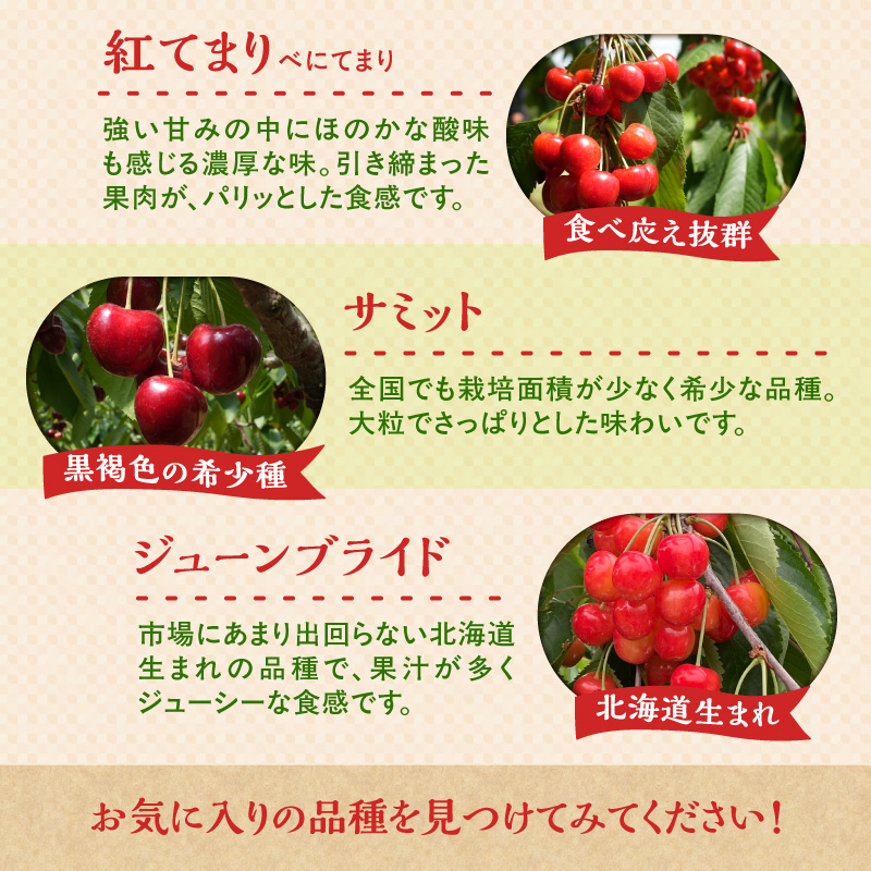 【2026年産 先行予約】＜北海道余市産＞さくらんぼ「紅てまり」（M～2Lサイズバラ詰め）500ｇ×2パック_Y103-0057