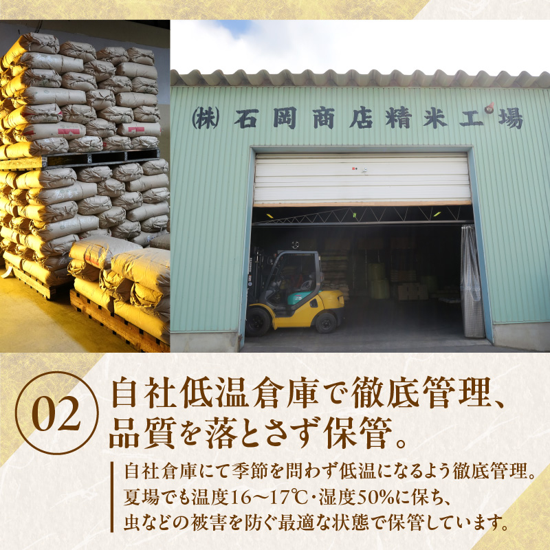 【10営業日以内発送】北海道産 ななつぼし 10kg 精米 お米 令和7年産 即納_Y138-0031