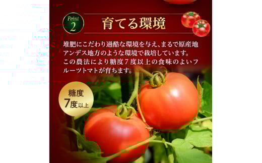 ガスパチョとまと　1,000ml×6本セット【定期便全6回】 果汁100％ トマト トマトジュース 冷製スープ ガスパチョ 余市 フルーツトマト 桃太郎 糖度7度以上 無加水栽培 過酷環境栽培 アンデス農法 1000ml 寒暖差 スープ ピューレー 自然栽培 瓶詰め 送料無料 北海道 余市町 トマトジュース_Y144-0008
