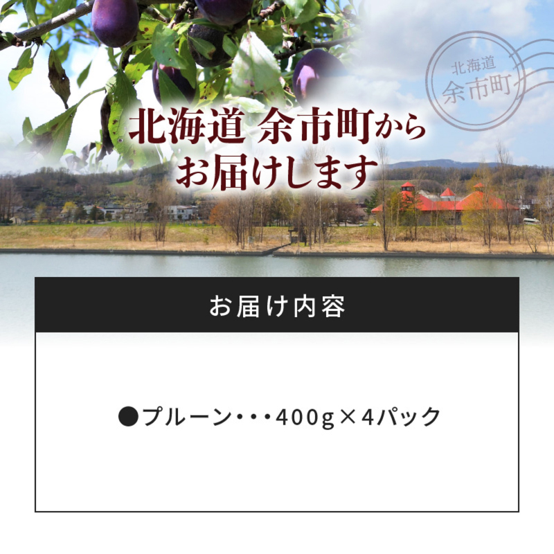 【2026年9月上旬発送分先行予約】プルーン 400g×4パック甘くてジューシー 余市産 生プルーン 国産 老化防止 鉄分 スムージー ジャム 冷蔵 小分け パック フルーツ 果物 季節限定 お取り寄せ 北海道 余市町 _Y010-0526