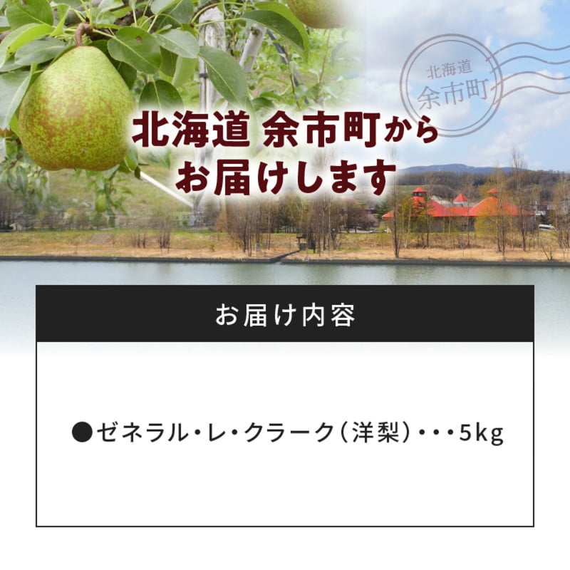 【先行受付：2026年10月中旬以降発送分】洋梨（ゼネラル・レ・クラーク） 5kg 香り豊か 甘味が強い 程よい酸味 北海道 余市 季節限定 フルーツ デザート_Y010-0654