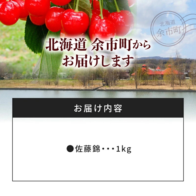 【先行受付：2026年7月初旬以降発送分】さくらんぼ（佐藤錦） 1kg 北海道 余市 余市町農業協同組合 フルーツ デザート 果物 季節限定 グルメ とれたて 甘み 鮮やかな紅色 冷蔵 お取り寄せ_Y010-0656