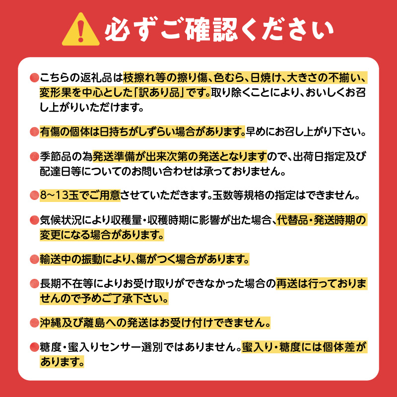 【先行受付：2026年10月中旬以降発送分】訳あり りんご（昂林） 3kg_Y010-0662
