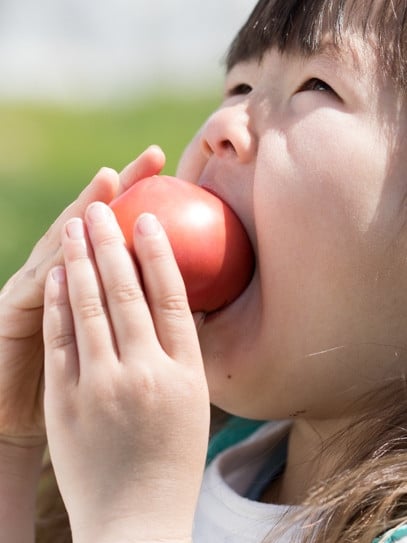 余市産 完熟トマト 100%使用！ まるごと搾り 甘熟トマトジュース 1L × 6本セット 無添加 濃厚な味わい 北海道 100%ピュアジュース 風味豊か 自然な味わい 太陽 大地 真っ赤 完熟 丸ごと搾り_Y015-0033