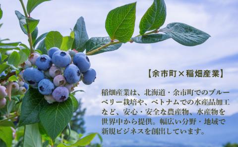 ◆ふるさと納税限定◆ブルーベリーワイン 2016 ＜アイケイファーム余市＞_Y020-0671