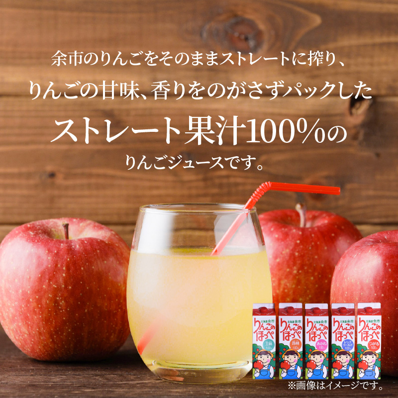 りんごの産地 北海道産 りんごジュース アップルジュース りんごのほっぺ バラエティセット 5種 1L×各1本 計5本 果汁100％ つがる あかね 王林 レッドゴールド 昂林 お取り寄せ 贈り物 ギフト プレゼント 北海道 余市町 _Y034-0118