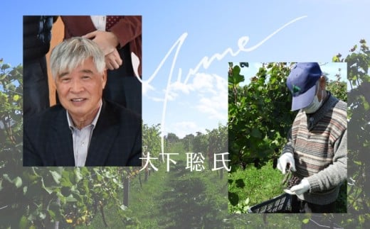 【数量限定】余市「ワイナリー夢の森」ケルナー2023 750ml 《３本セット》_Y034-0120