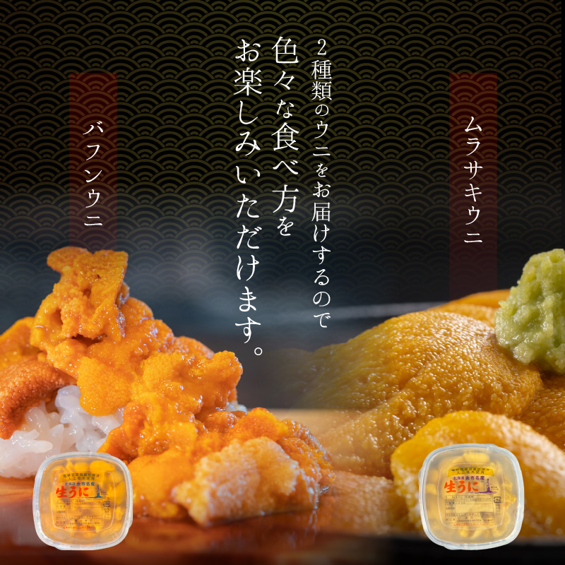 【2026年夏発送】塩水ウニ【バフンウニ＆ムラサキウニ】各100g×1パック 北海道余市町産 冷蔵  生うに うに 海産物 魚介類 北海道産 余市産 とろける 濃厚 磯の風味 甘味 強い 香り  北海道 余市町_Y037-0342