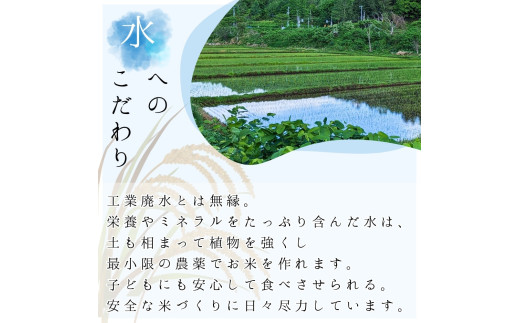 【定期便全3回】【順次発送中】◇令和6年産◇木露ファーム 余市産 ゆめぴりか（玄米） 3kg_Y067-0188