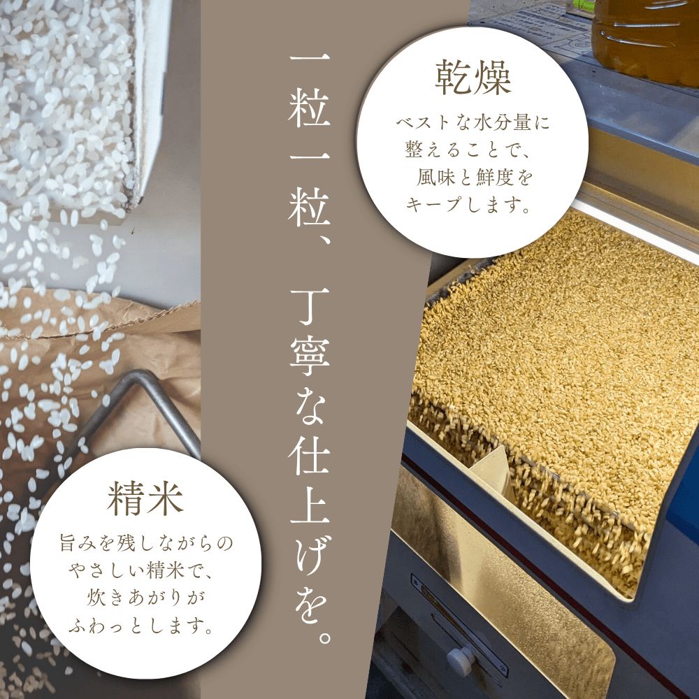 【順次発送中】◇令和7年産◇FURUCRI FARM 余市産 ゆめぴりか(玄米) 10kg_Y067-0297