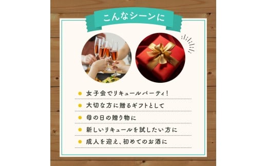 人気リキュールセット_Y118-0001