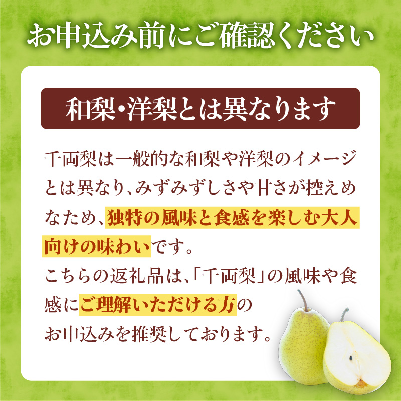 【2026年9月下旬以降発送】千両梨 10kg箱(22玉前後)北海道産 余市町産 シャキシャキとした食感とサッパリとした甘みが特徴 季節限定 千両梨 季節の味覚 10kg 箱 梨 ほぼ余市町でしか生産されていない 果物 フルーツ 贈り物 ギフト フルーツギフト お取り寄せ 北海道 余市町産 送料無料_Y015-0035