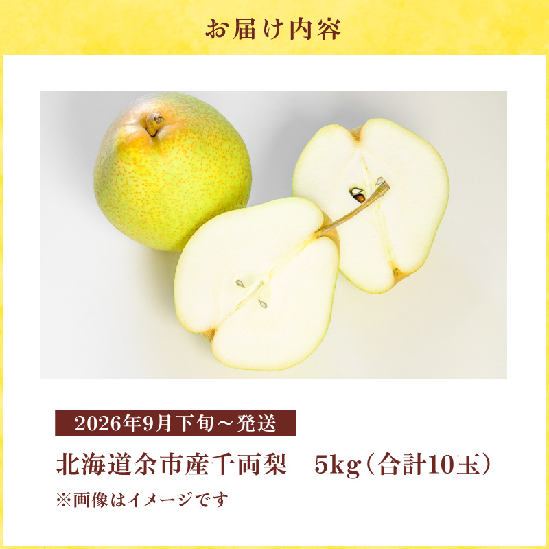 【2026年9月下旬以降発送】千両梨 5kg箱(10玉)北海道産 余市町産　シャキシャキとした食感とサッパリとした甘みが特徴 季節限定 千両梨 季節の味覚 5kg 箱 梨 ほぼ余市町でしか生産されていない 果物 フルーツ 贈り物 ギフト フルーツギフト お取り寄せ 北海道 余市町産 送料無料_Y015-0036