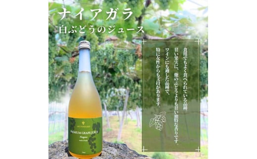 無添加 100％ストレート ぶどうジュース 710ml カベルネ・ナイアガラ 各1本 化粧箱入り 安芸農園_Y067-0147