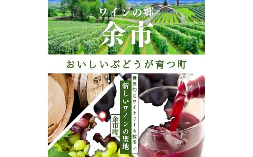無添加 100％ストレート ぶどうジュース 710ml カベルネ 1本 安芸農園_Y067-0149