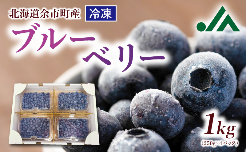 甘い! ジューシー! 余市町産冷凍ブルーベリー 250g×4パック 北海道産ブルーベリー 余市産ブルーベリー  ブルーベリー 1kg フルーツ 冷凍フルーツ 果物_Y010-0344