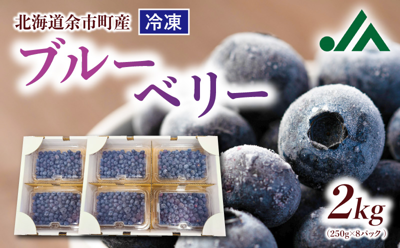 冷凍ブルーベリー 250g×4パック×2箱 北海道産 甘くてジューシー 余市産 ブルーベリー 250g × 4パック × 2箱 合計 2kg 冷凍 北海道産 国産 高い栄養価 抗酸化作用 高血圧予防 フルーツ 果物 小分け 北海道産ブルーベリー  ブルーベリー 1kg フルーツ 冷凍フルーツ 果物__Y010-0345