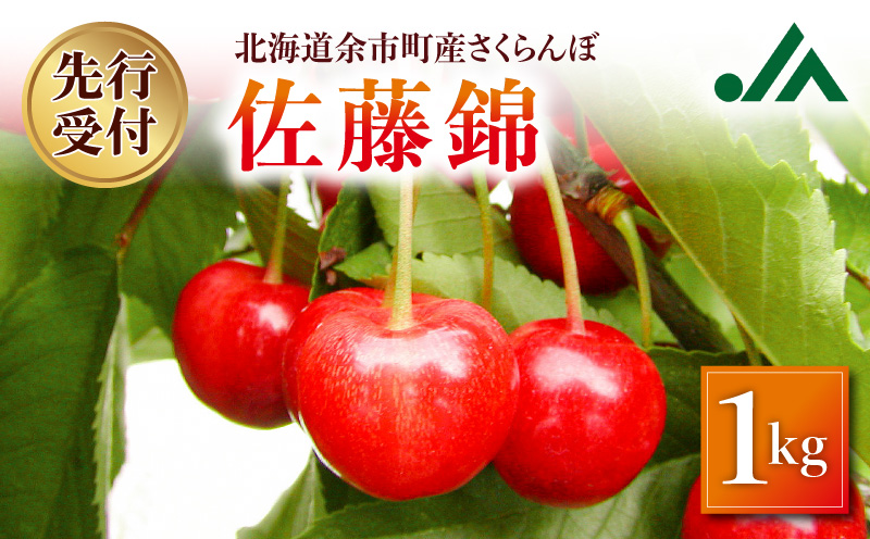 【先行受付：2026年7月初旬以降発送分】さくらんぼ（佐藤錦） 1kg 北海道 余市 余市町農業協同組合 フルーツ デザート 果物 季節限定 グルメ とれたて 甘み 鮮やかな紅色 冷蔵 お取り寄せ_Y010-0656