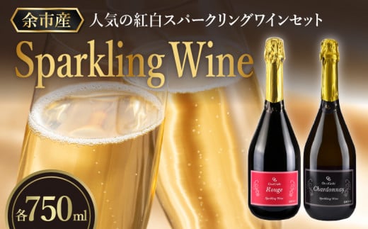 【2026年2月以降発送】特別なおもてなしに スパークリング ワイン 紅白セット 750ml  ×各1本 オチガビワイナリー 北海道 余市町産 飲み比べ ぶどう アルコール お酒 濃厚 フレッシュ 飲みやすい ギフト お祝い パーティー お取り寄せ _Y012-0101