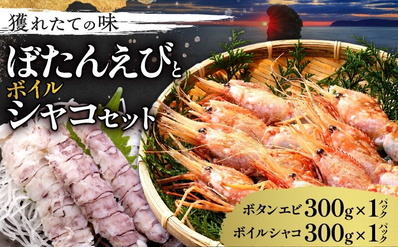 【獲れたての味！】ボタンエビ300g×1パック・ボイルシャコ300g×1パック　セット品_Y022-0025
